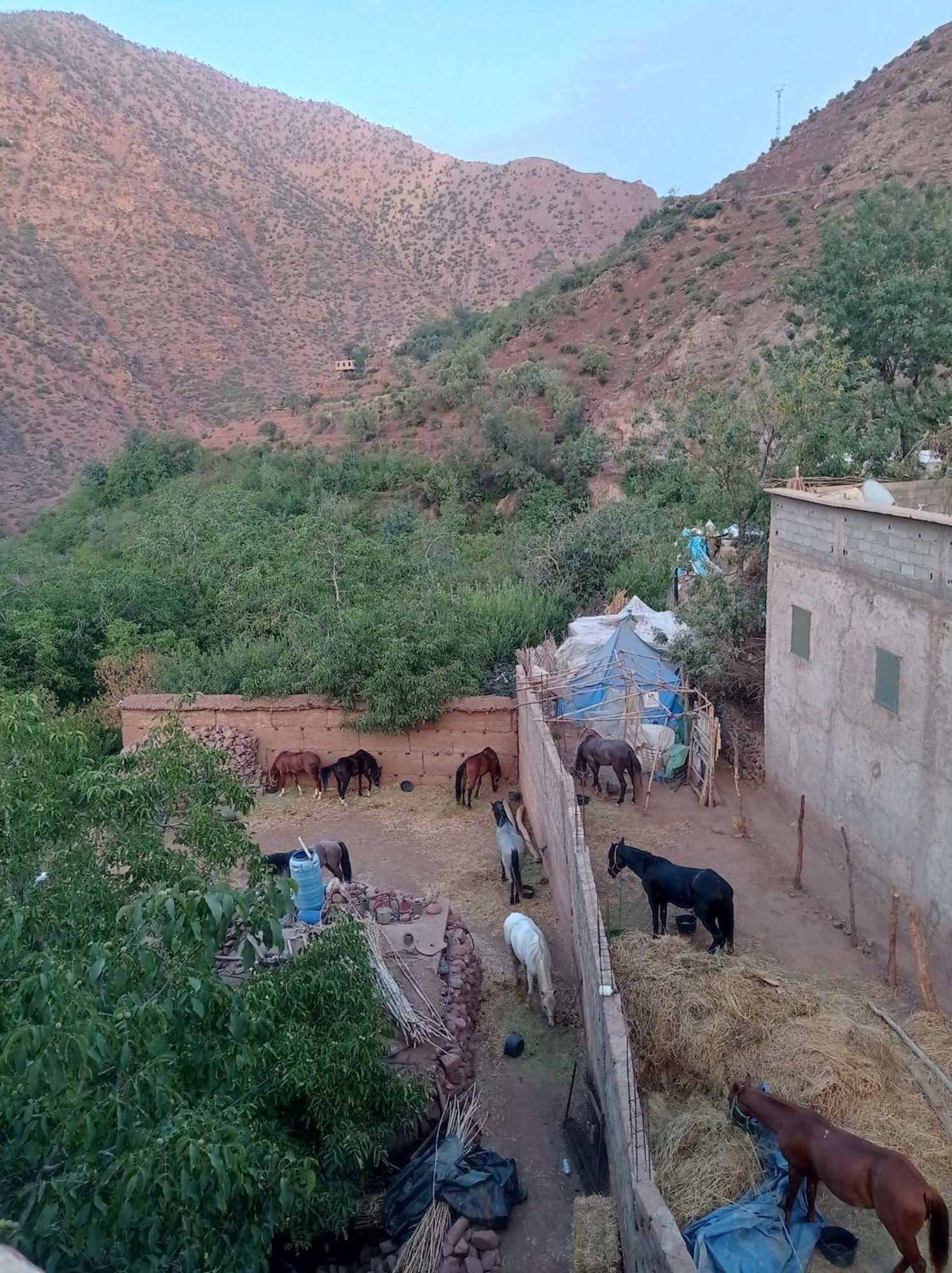 Gite Gougadir Imoughlad Imlil  Dış mekan fotoğraf